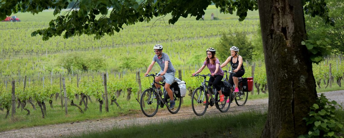 Balade à vélo - Tarn-et-Garonne © J.Damase / ADT 82