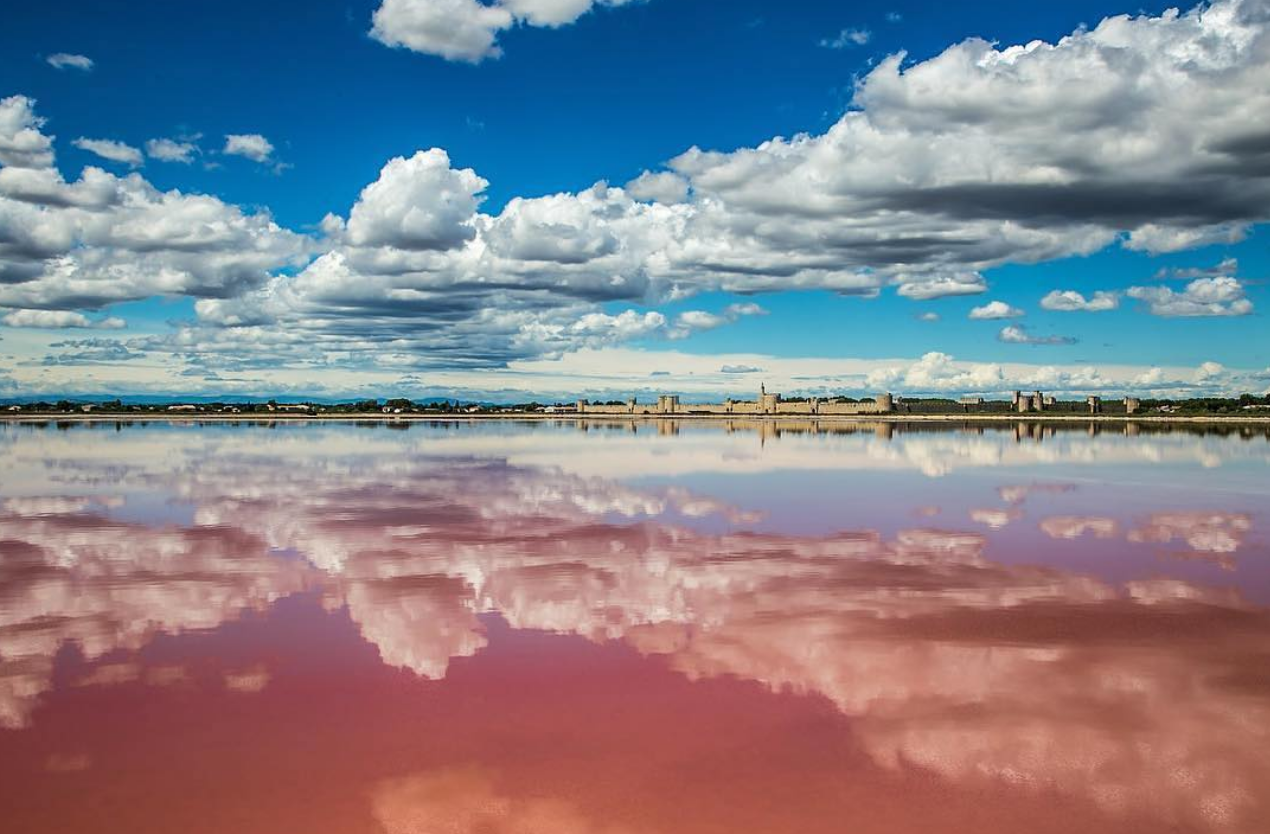 Aigues-Mortes - Gard