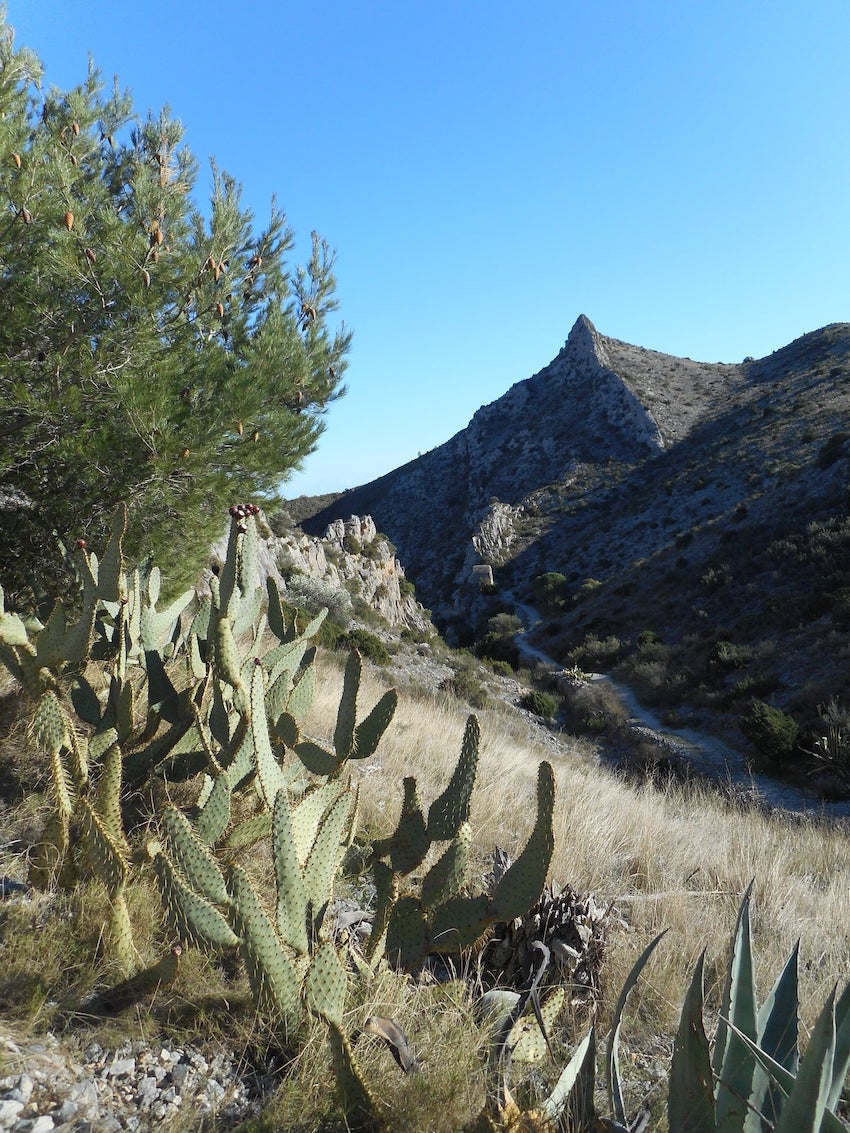 Sur le chemin de l'Ermitage ND de Pène © Patrick Fontanel