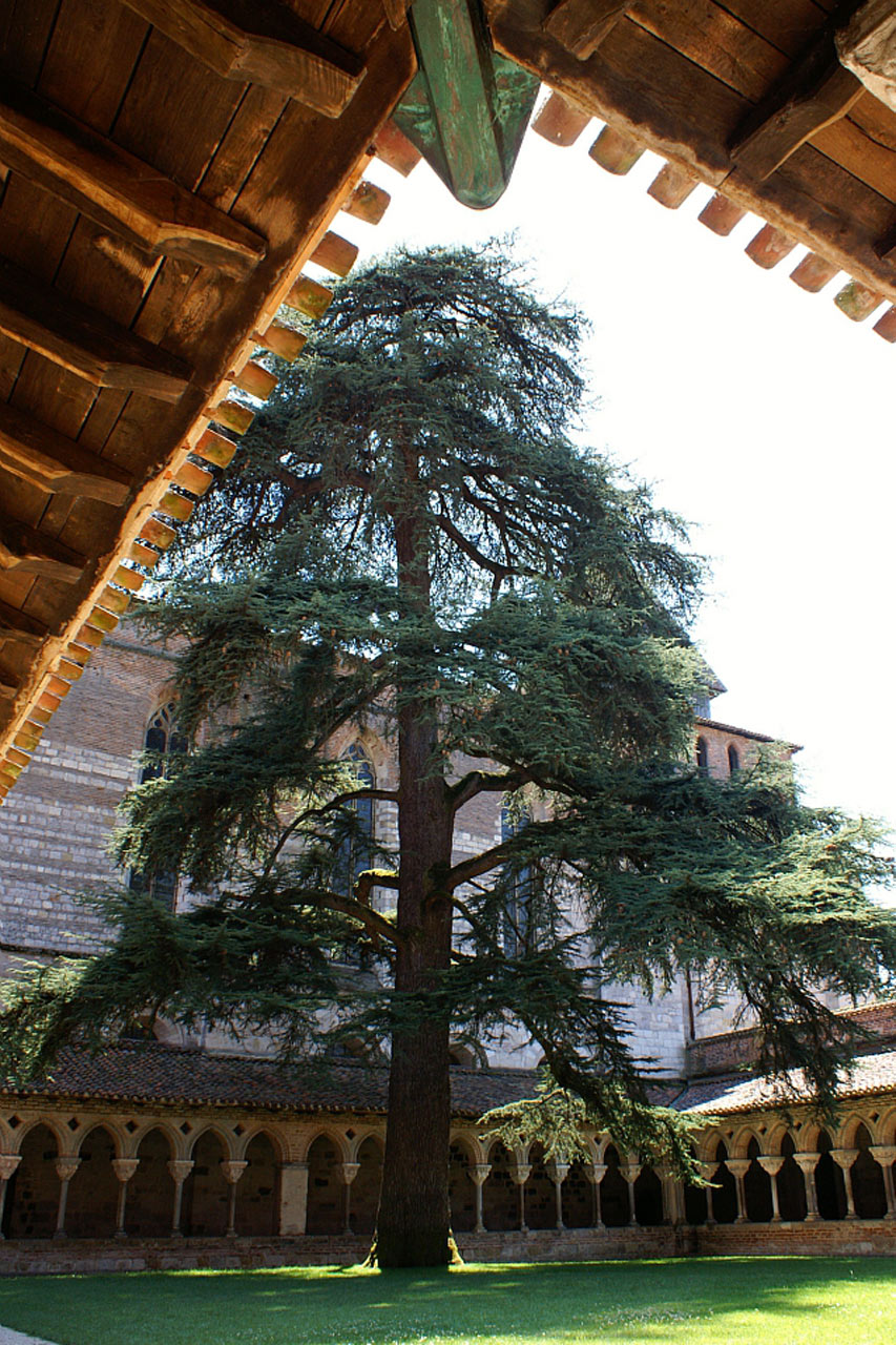 Cloître de Moissac - Tarn-et-GAronne © L.Donzelli / ADT 82