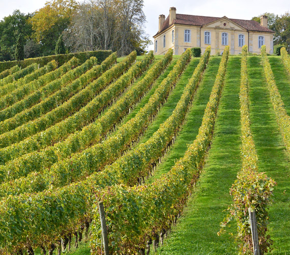 Vignoble du Gers et de la Gascogne