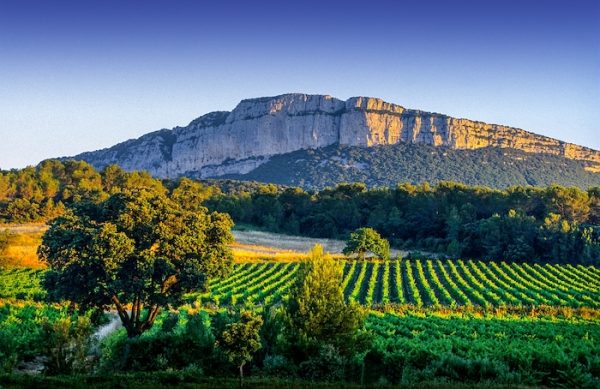 Le Pic Saint Loup © G. Deschamps - CRTL Occitanie