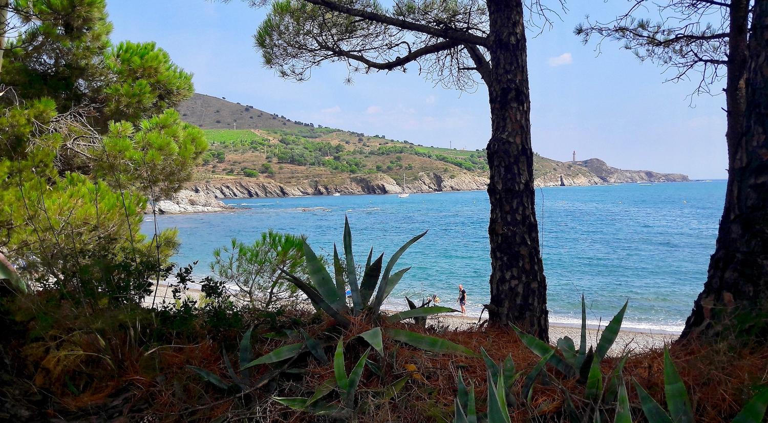 Anse de Paulilles © Christine Chabanette