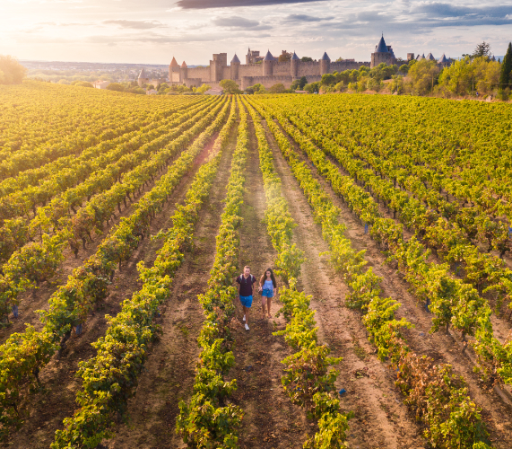 Oenotourisme, vignes Carcassonne - ©Vincent Photographie OT Grand Carcassonne