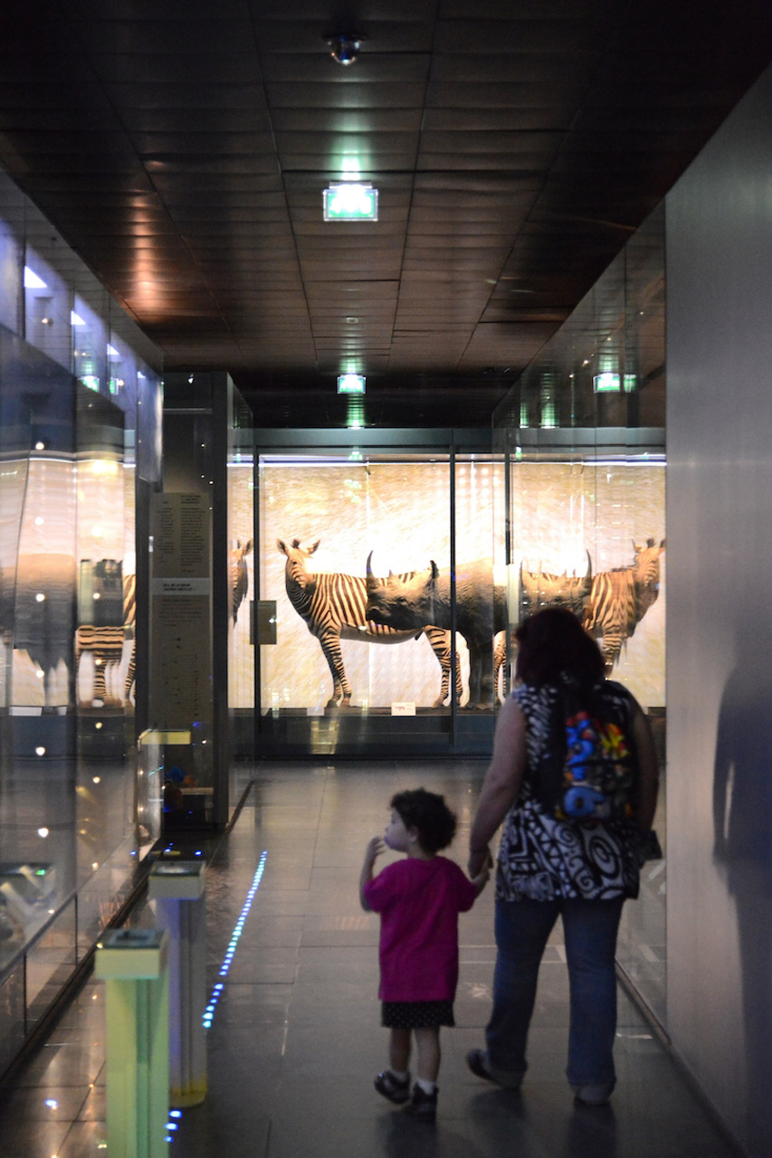 Museum - Toulouse © CRTL Occitanie / P.Thébault