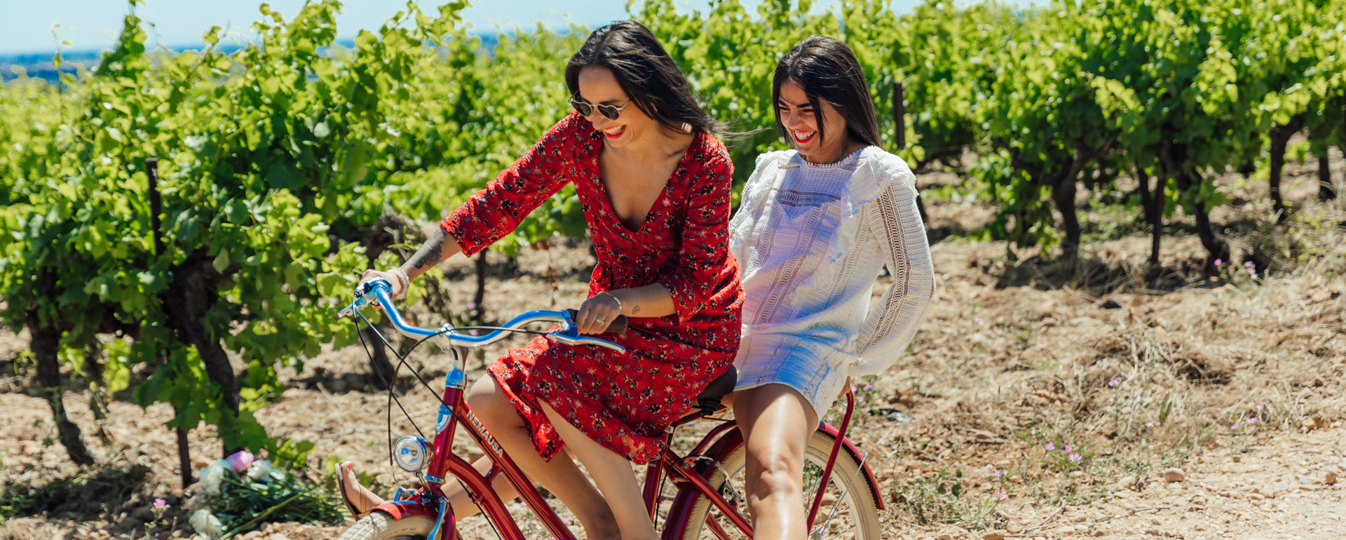 Vélo dans les vignes © Charlène Pélut