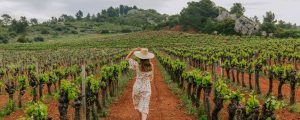 Vignoble du Languedoc © Charlène Pelut