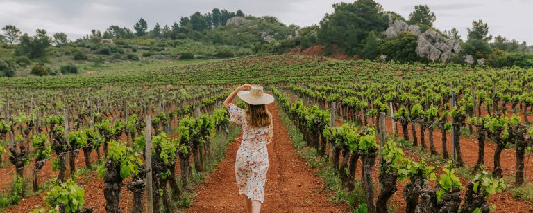 Vignoble du Languedoc © Charlène Pelut