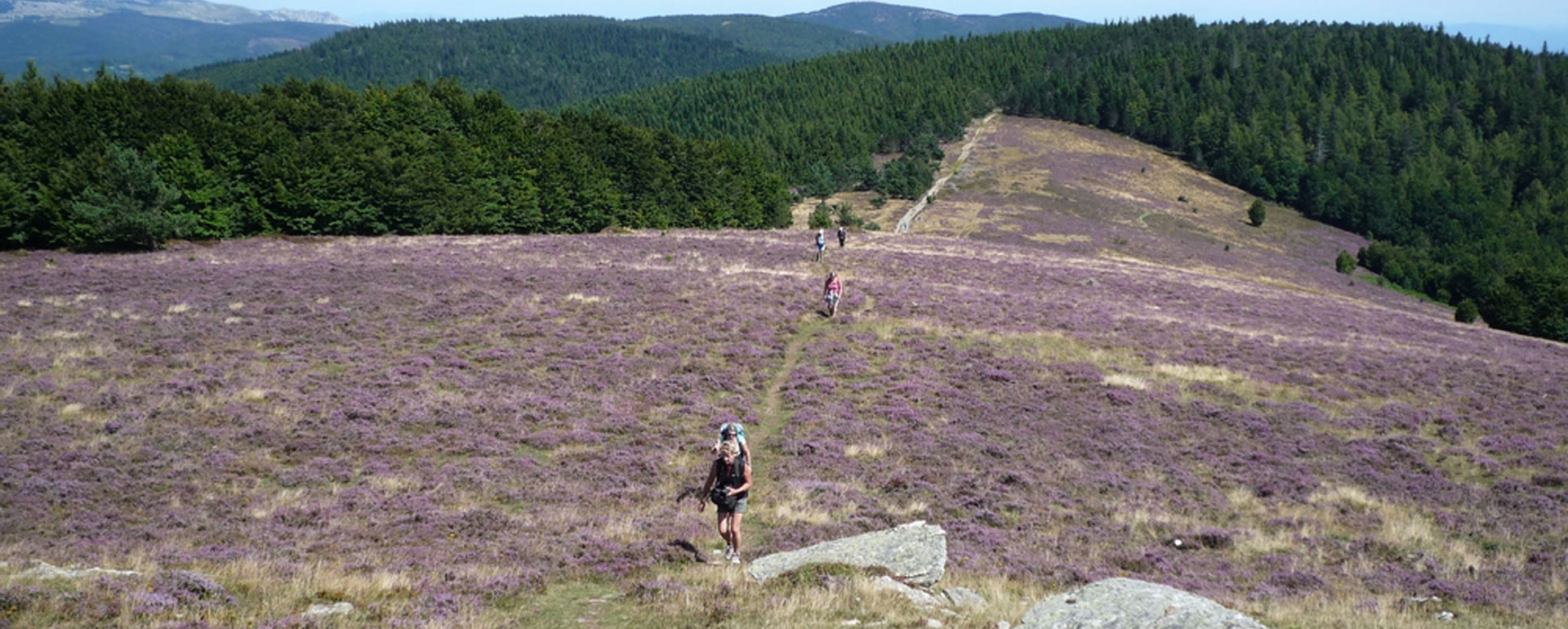 Chemin de Stevenson : 2 jours de rando dans les Cévennes