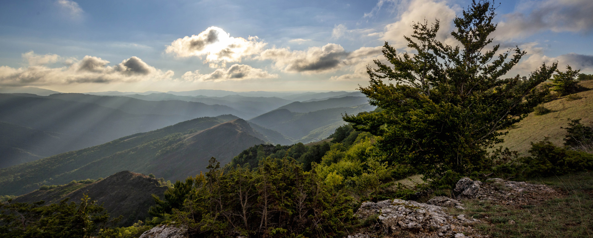 Corniche des Cévennes © Parc National des Cévennes