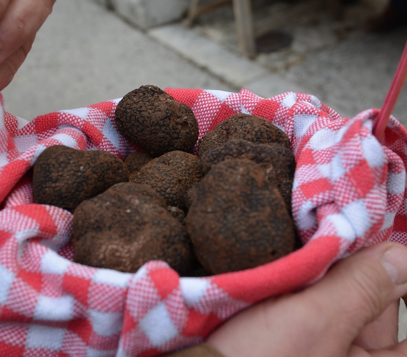 Panier de truffes © Christine Chabanette / CRTL Occitanie