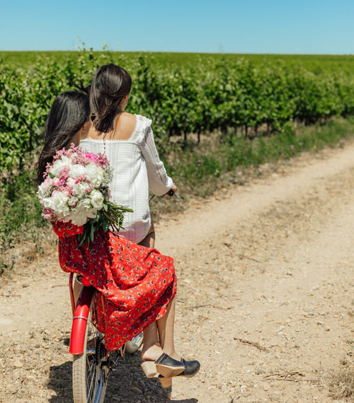 Balade à vélo dans les vignobles du Gard