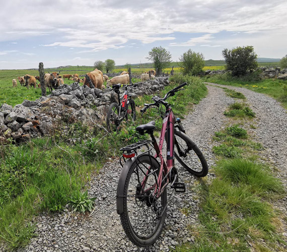 VTT électrique en Aubrac - Lozère © CRTL Occitanie