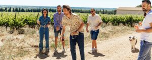 Jeu de pétanque entre amis dans les vignobles du Gard