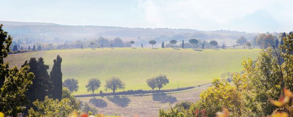 Vignobles du Domaine du Moulin à Gaillac