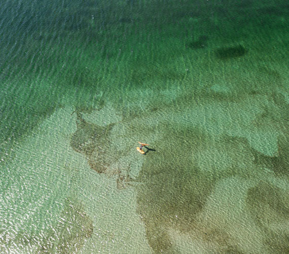 Littoral méditerranée, wingsurf sur l'étang de Thau