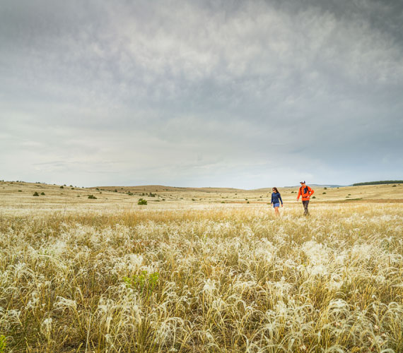Randonnée dans la campagne du Causse Méjean en Lozère