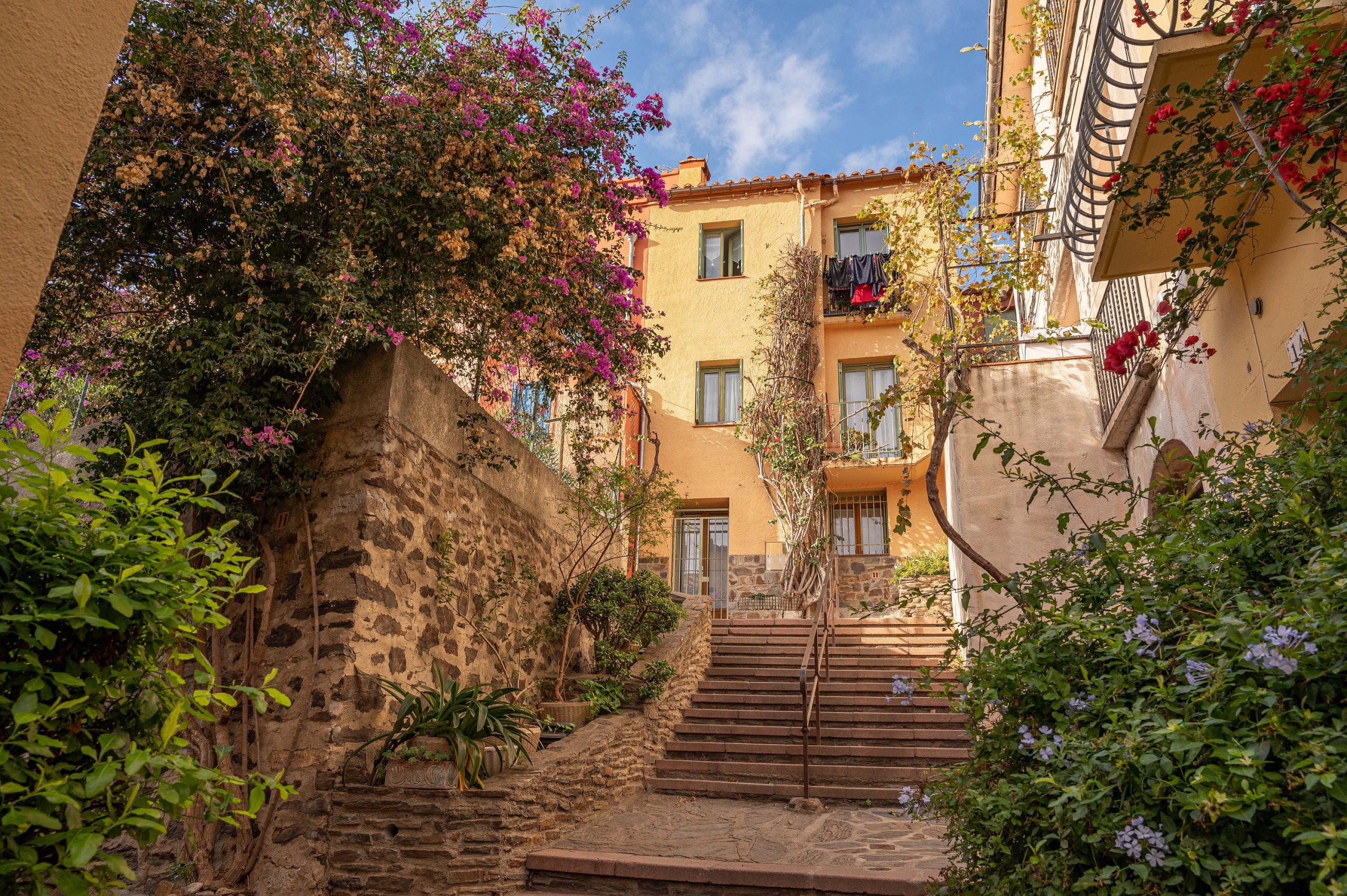 Collioure © Guillaume Payen / CRTL Occitanie