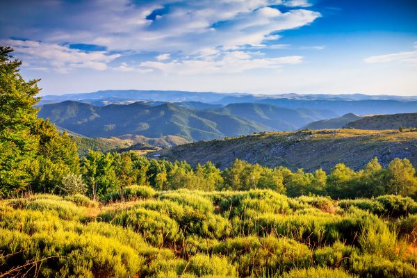 Paysage des Cévennes © G.DESCHAMPS - CRTL Occitanie