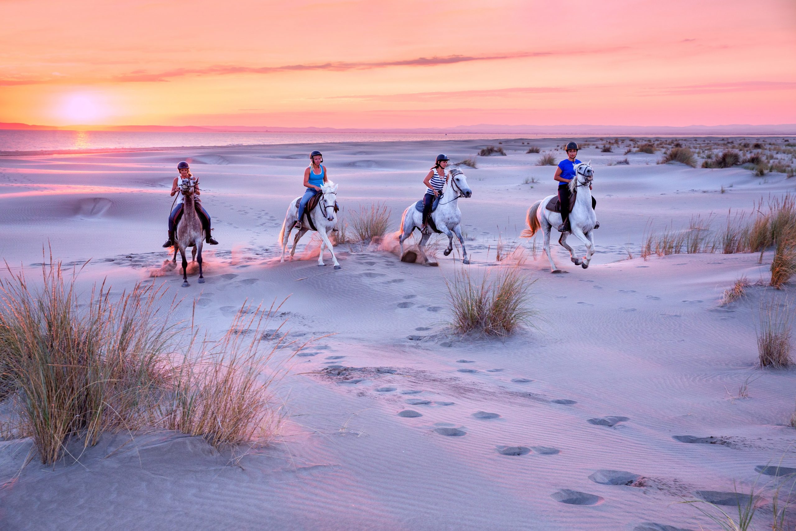 Plages de Camargue à cheval © Richard Sprang / Ouvert au Public