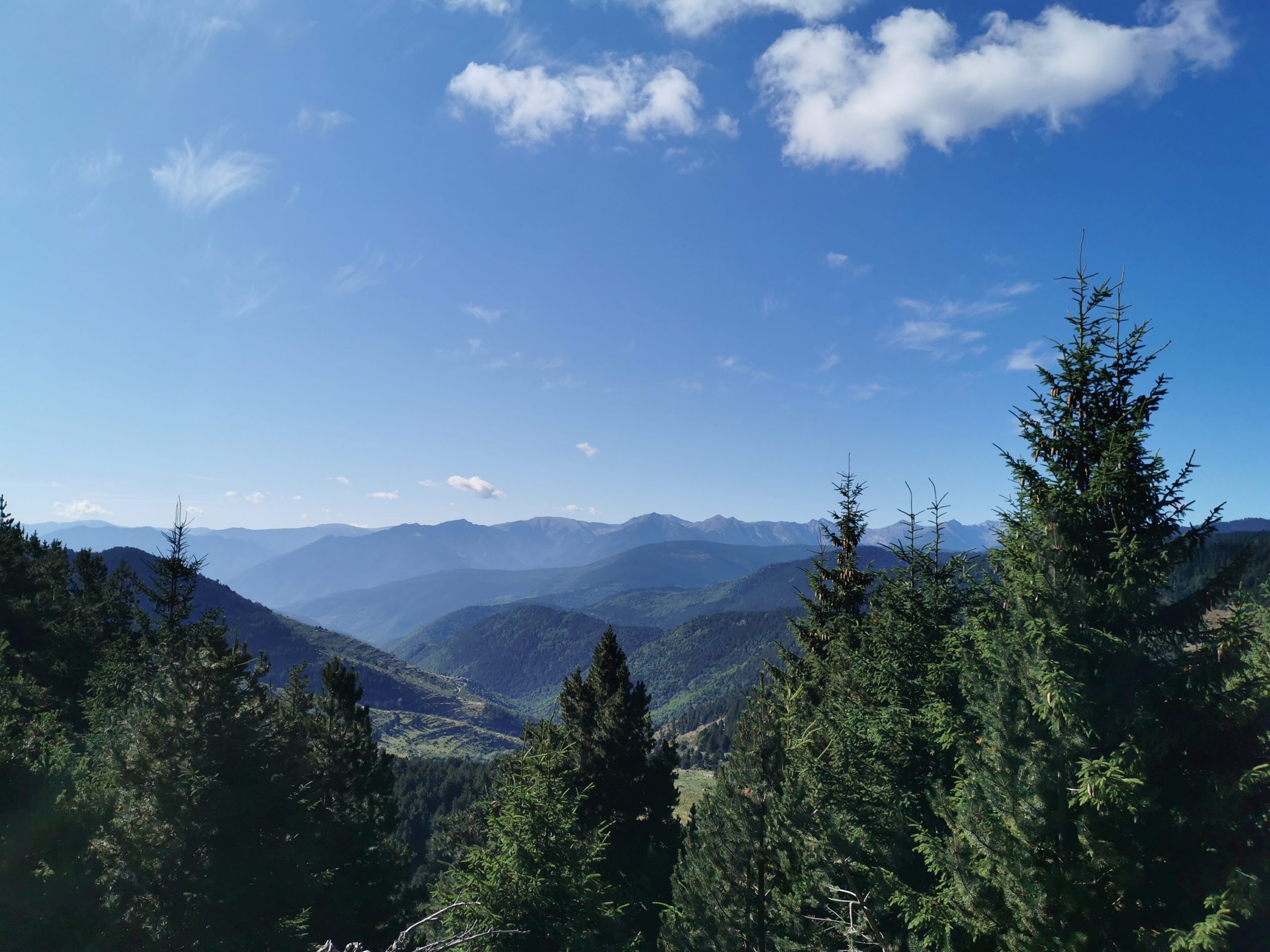 Train Jaune - Vue sur les Pyrénées catalanes © Céline Guérin / CRTL Occitanie