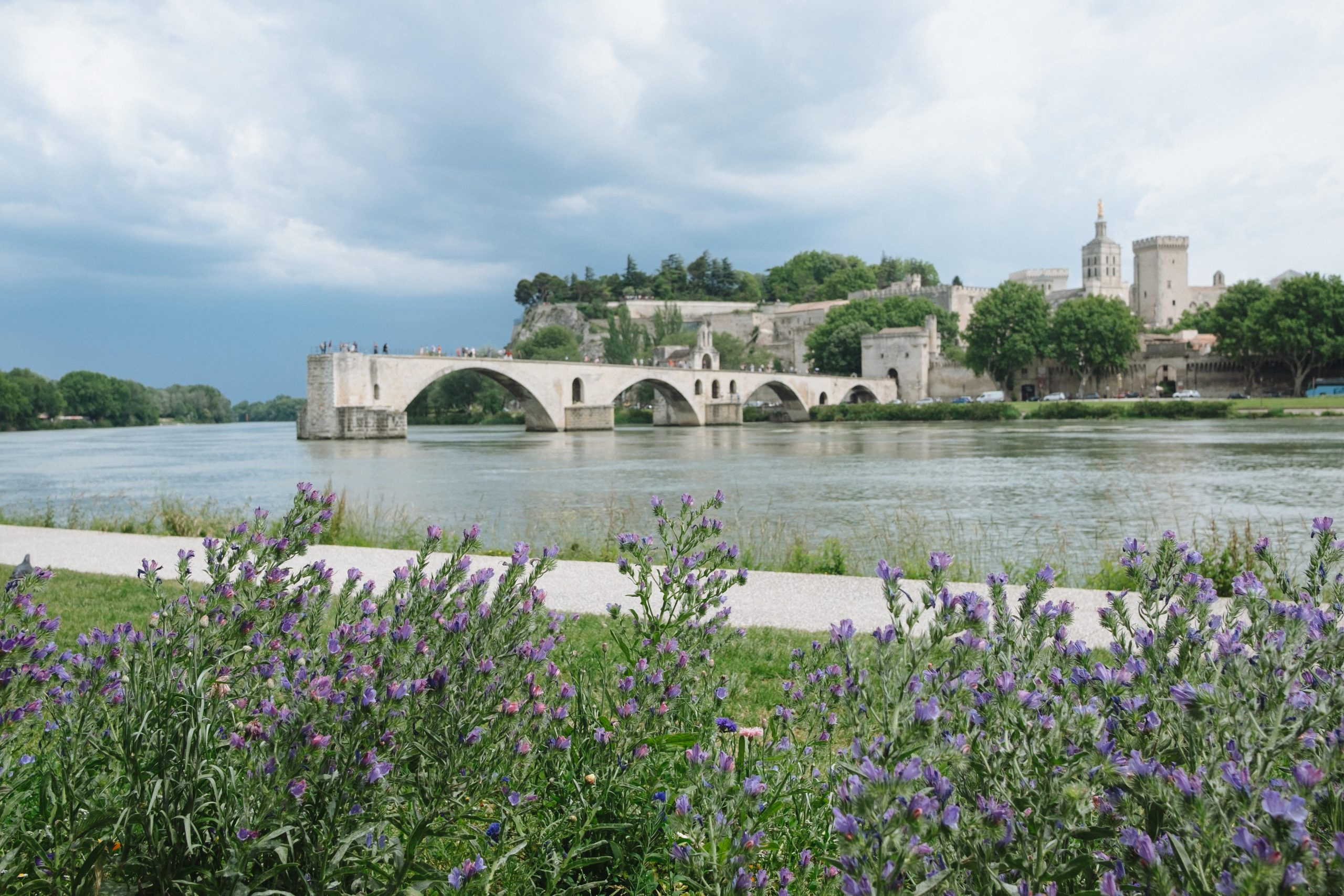 Copyright Chelsea Essig Le pont d'Avignon © Chelsea Essig