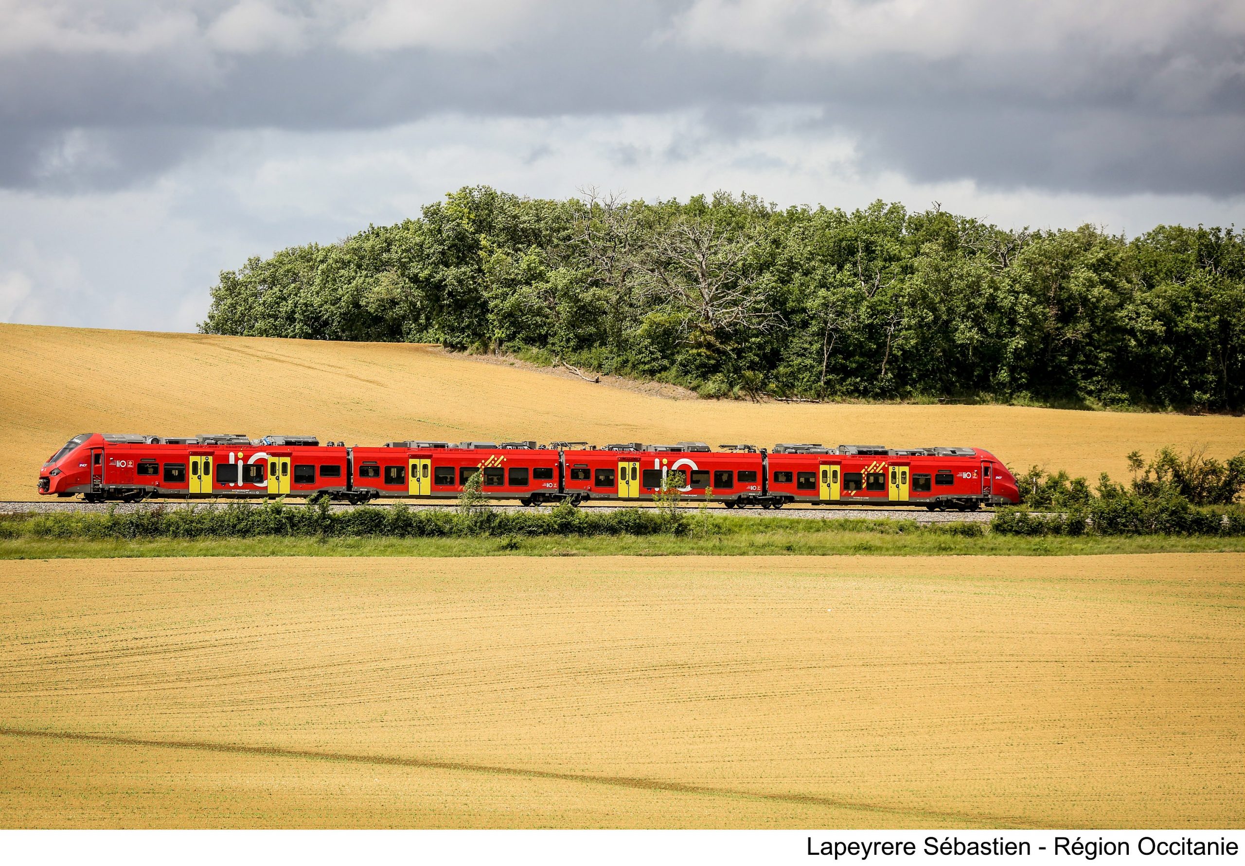 Tain lio ©Sebastien Lapeyre/ Region Occitanie