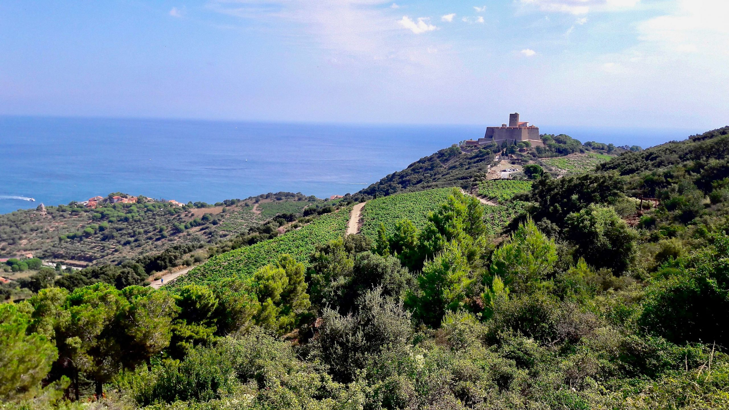 Côte vermeille - Collioure - Fort St-Elme © C.Chabanette / CRTL Occitanie