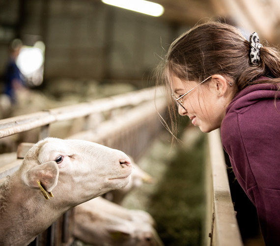 Bergerie - Gorges du Tarn © B.Colomb/CRTL Occitanie