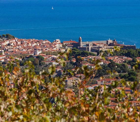 Collioure entre mer et vignes © Philippe Benoist / CRTL Occitanie