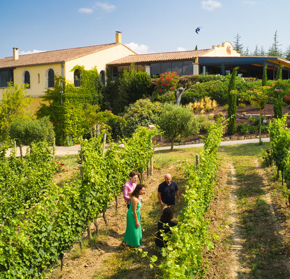 © Les vins Pays d'OC IGP