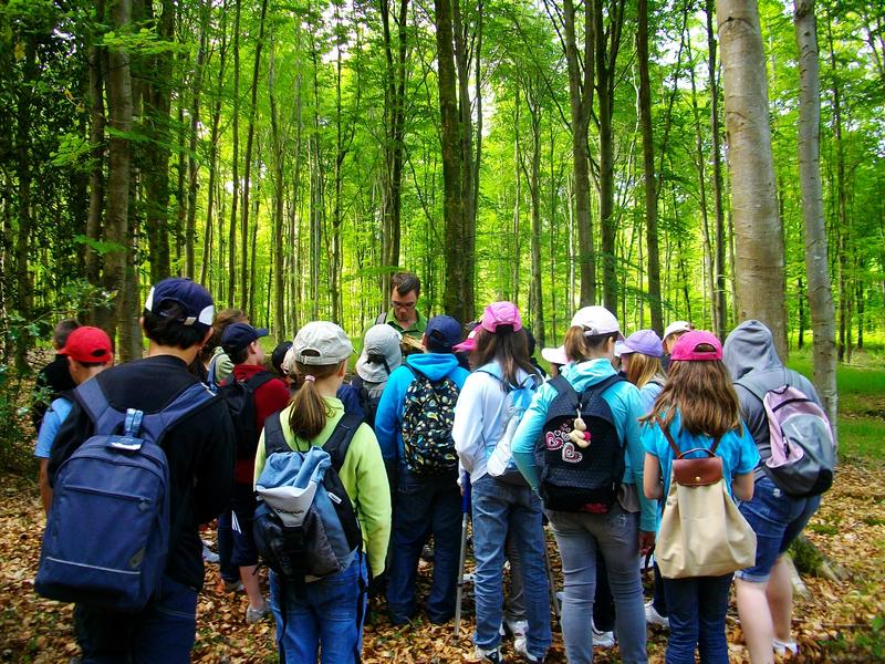 Séjour classe découverte en Occitanie
