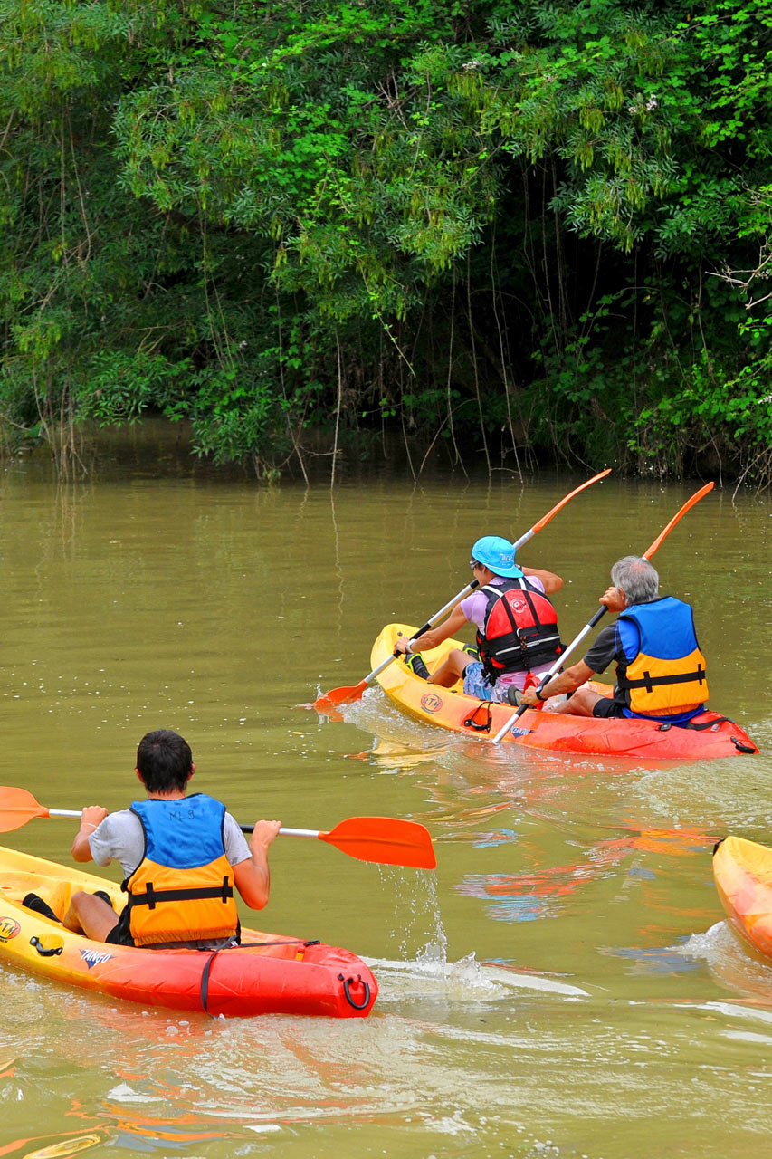 Canoë sur la Baïse - Gers © P.Thébault / CRTL Occitanie