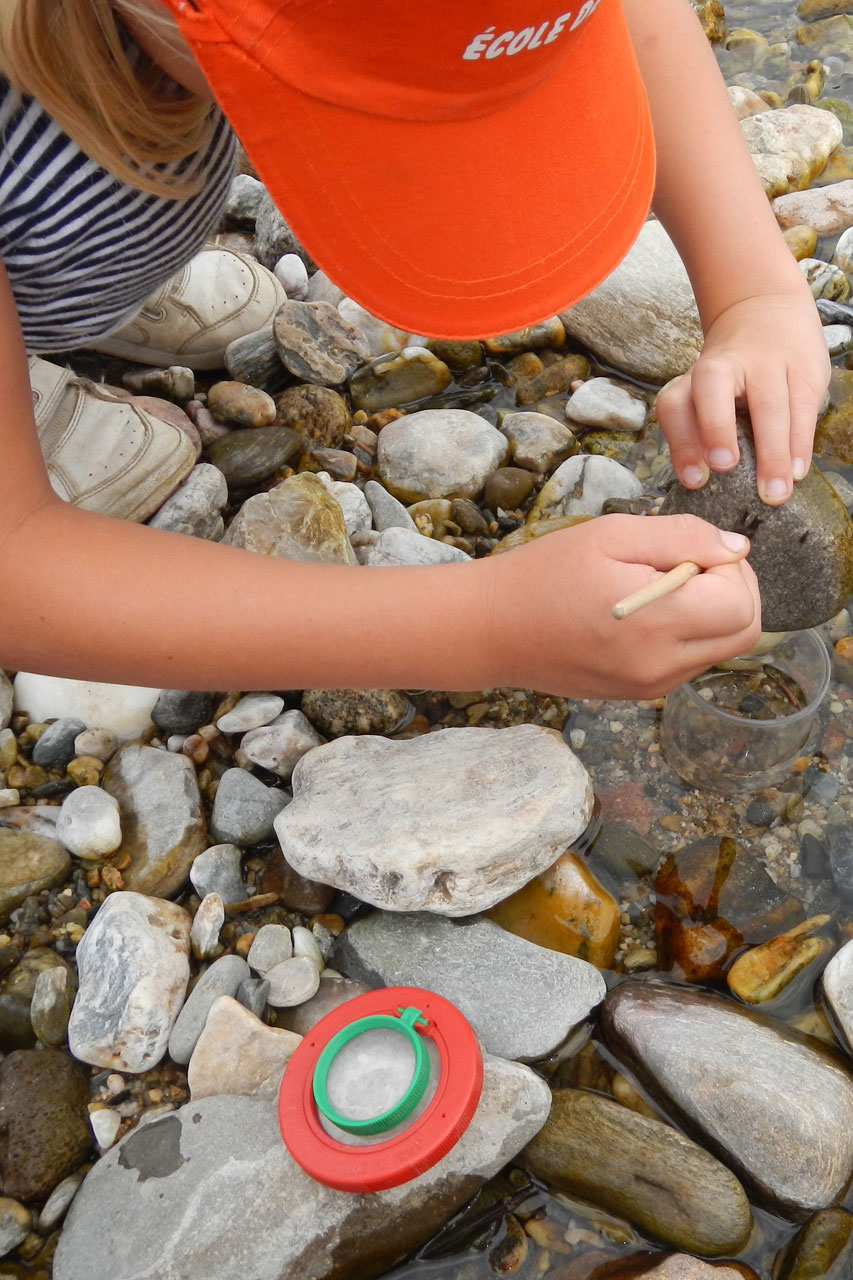 Classe découverte science et nature - Gard - Occitanie