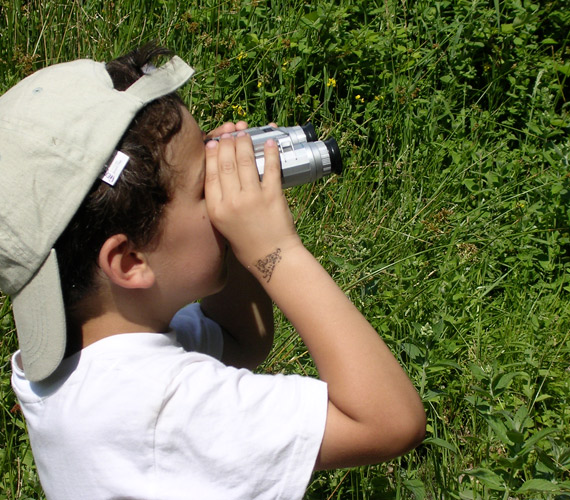Classe découvertes Sciences - Occitanie