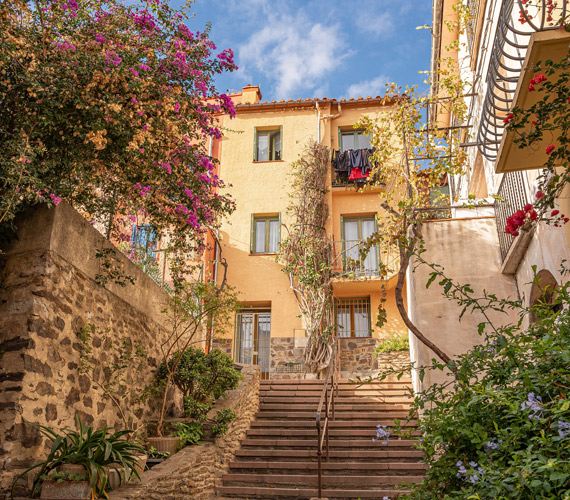 Collioure © G.Payen / CRTL Occitanie