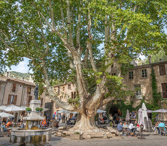 Saint-Guilhem-le-Désert © G.Payen / CRTL Occitanie