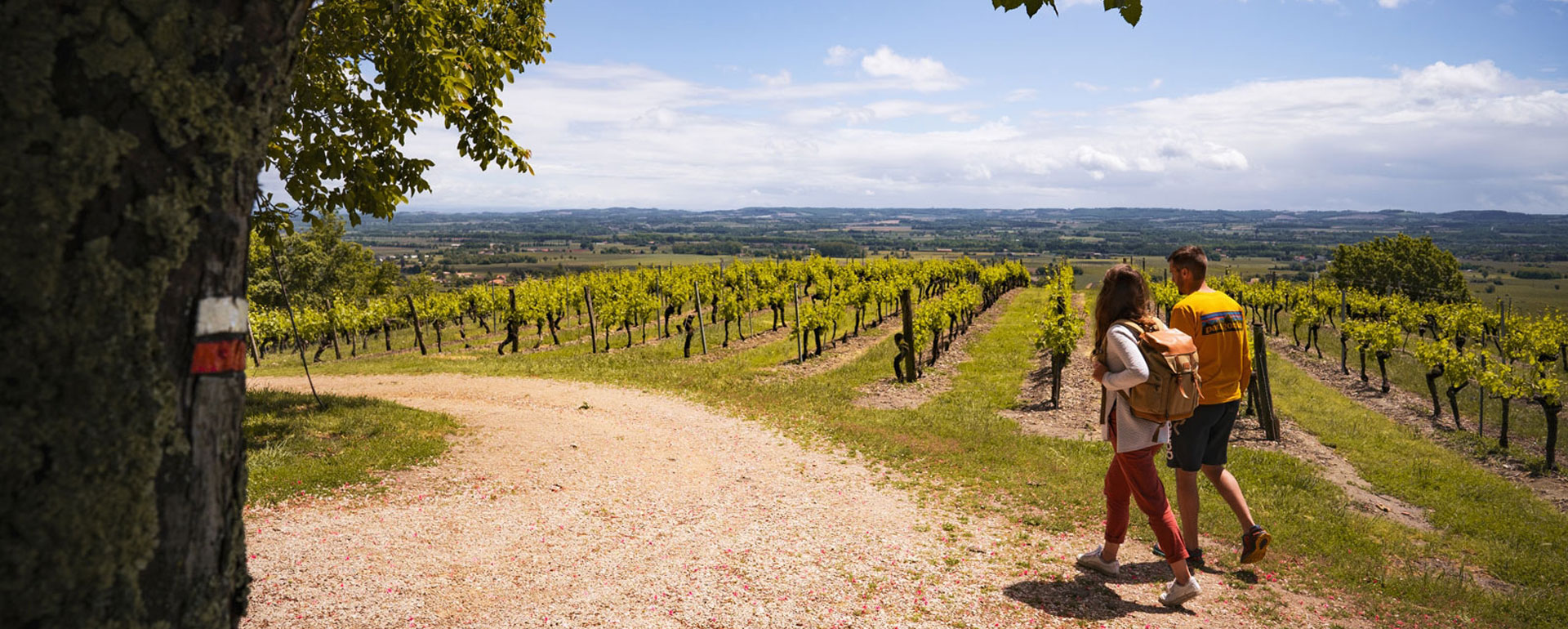 Œnorandos en vignoble de Gaillac Œnorandos : balades entre nature et vins en vignoble de Gaillac
