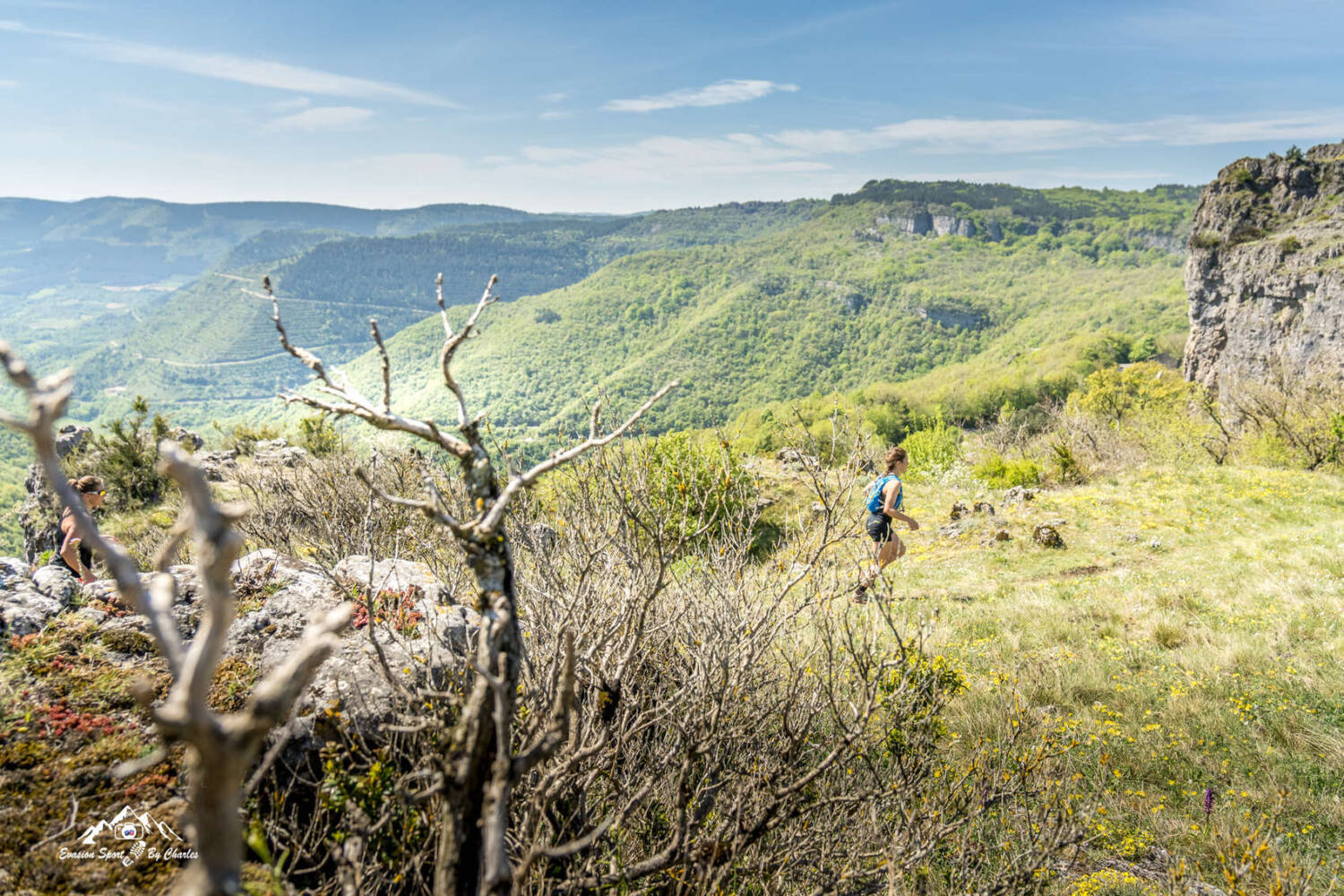 Trail Terrasses du Lodévois