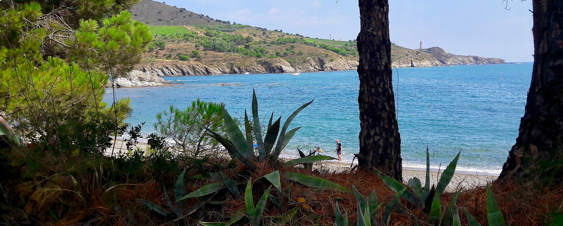 Plage - Anse de Paulilles © C.Chabanette / CRTL Occitanie