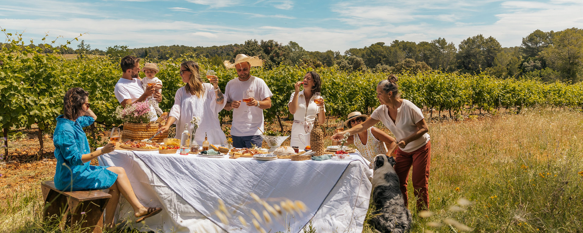 Banquet dans les vignes © C.Pelut / CRTL Occitanie