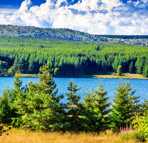 Situé en Margeride, le lac de Charpal, Lozère ; Rieurtort de Randon