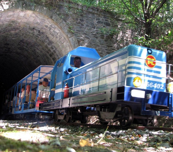 Le TAC - Train de l'Andorge (Lozère) © TAC