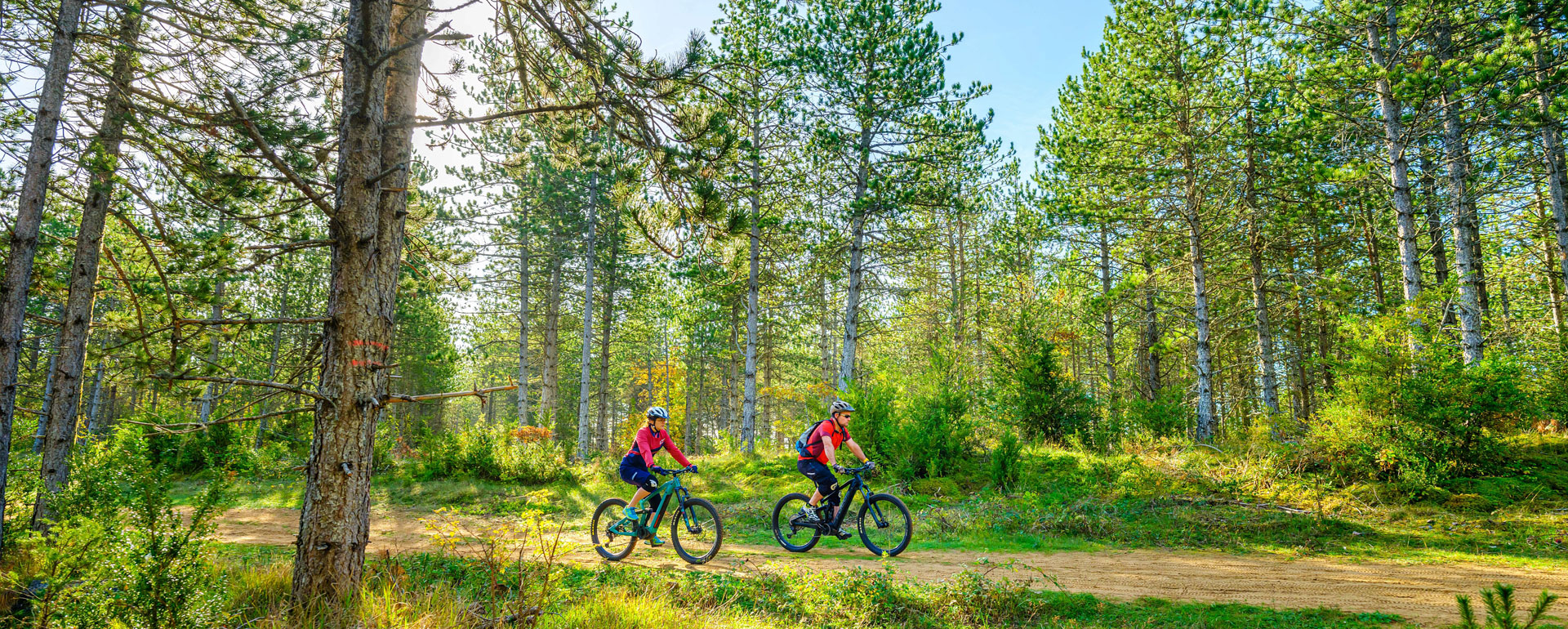 Balade en forêt en VTT à assistance électrique en Lozère