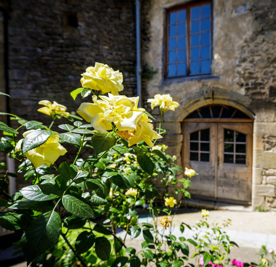 Camon, Pyrénées Cathares