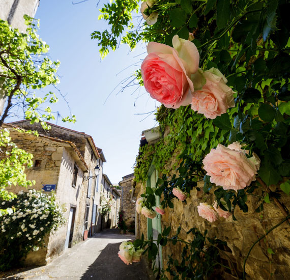 Camon, Pyrénées Cathares