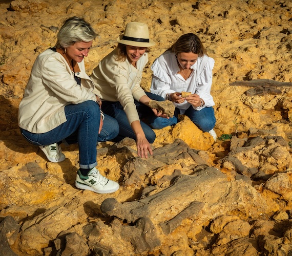 Fossiles-Montreal-du-gers © Arnaud Späni - CDT Gers