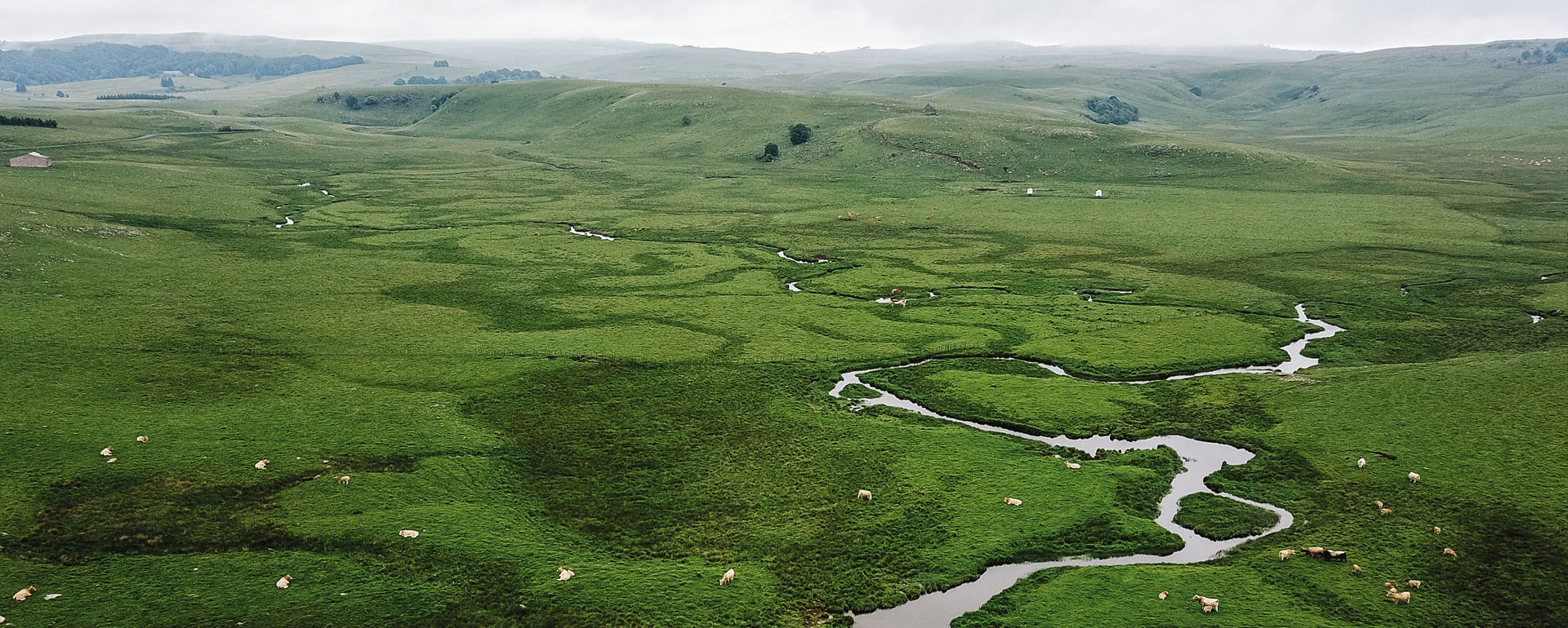Aubrac © Staart.com / CRTL Occitanie