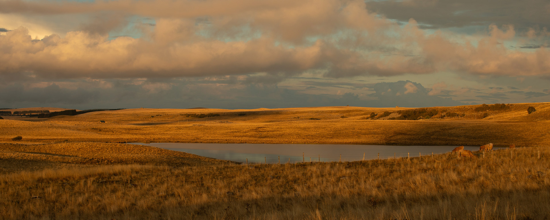 Lac de Saint-Andéol - Aubrac © Justine Hern / Studio Payol / CRTL Occitanie