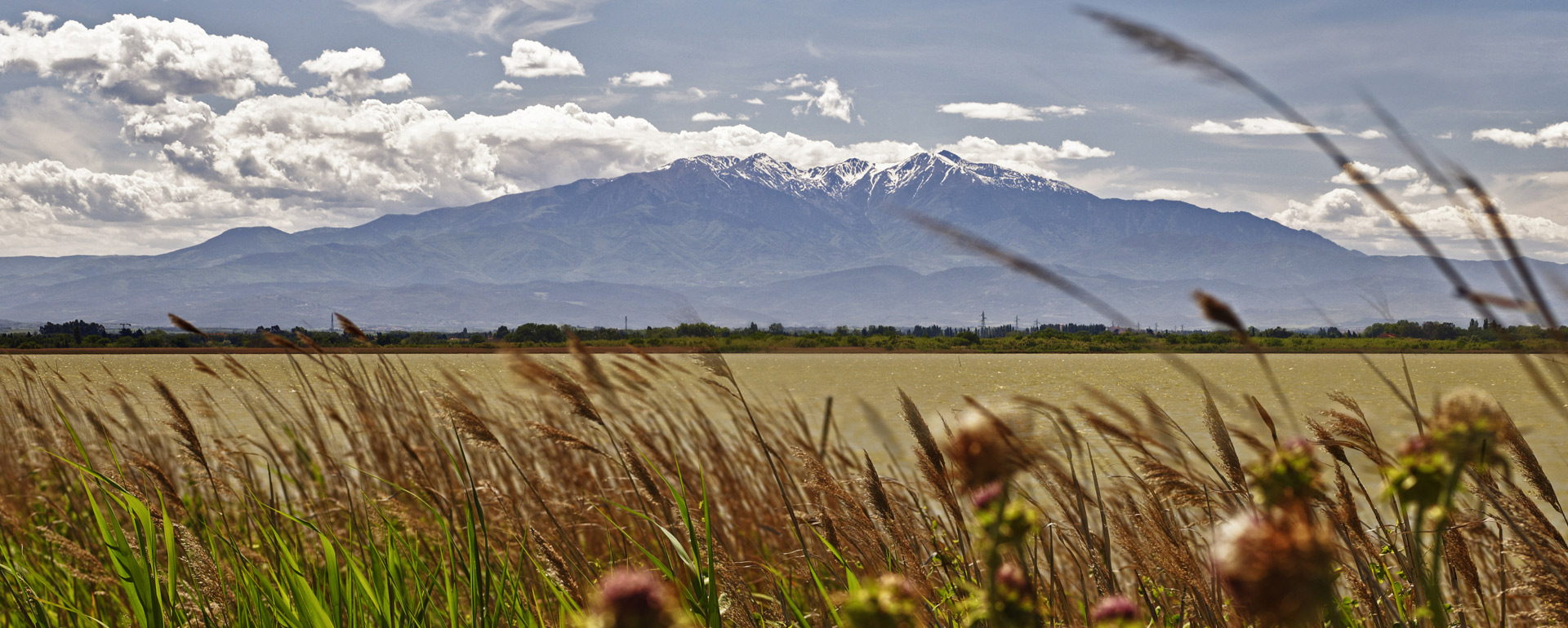 Massif du Canigou © D.Viet